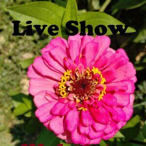 LILCHRISTY2011 IS LIVE - LIVE SHOW NOTIFICATION